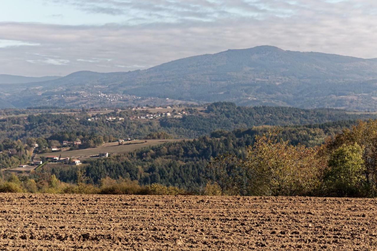 Gite De Sauviat 25 Chemin Du Grand Pacher Le Bourg De Sauviat 63120 Экстерьер фото